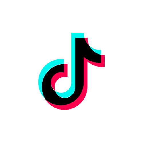 tiktok icon